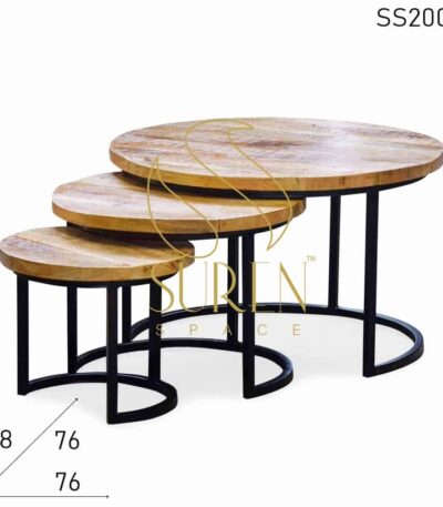 Mango Ruff Wood Metal Base Set of Three Center Table