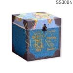 World Map Printed Antique Finish Storage Box cum Stool