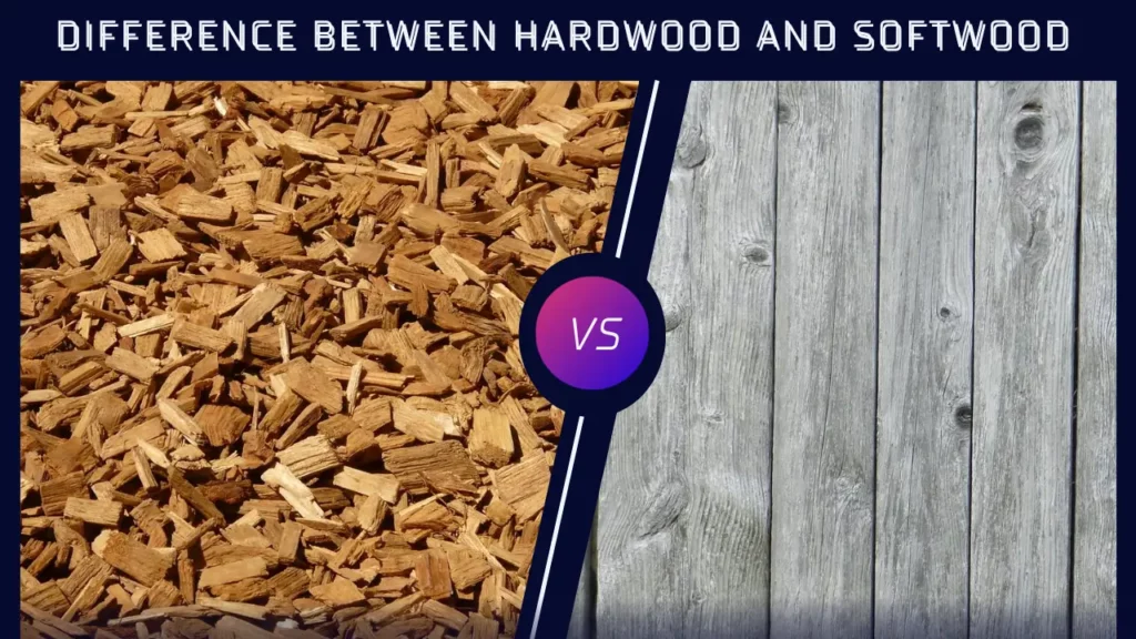 Difference Between Hardwood and Softwood-surenspace
