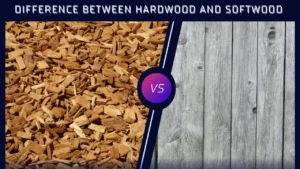 Difference Between Hardwood and Softwood-surenspace