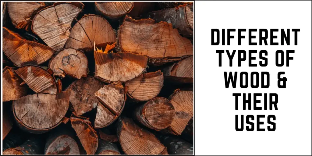 Different Types of Wood & Their Uses-SURENSPACE